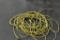 Extension Cord