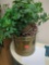 Fake Plant
