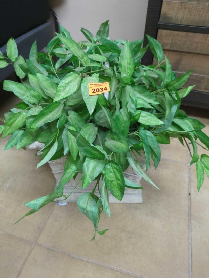Fake Plant
