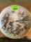 Collective Plate