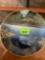 Collective Plate