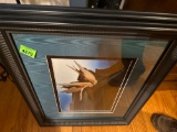 A ray of art