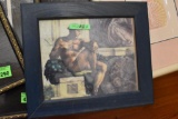 Framed Picture
