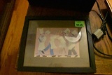 Framed Picture