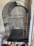 Birdcage