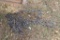 Tow chain 20ft