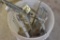 Bucket of mole traps
