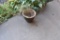 Flower pot Must bring help to load.