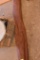 Unknown item