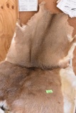 Tanned deer hide