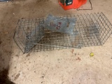 Cage