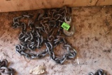 Tow chain 10ft