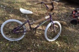 20 inch Schwinn bike with new tires and tubes, new seat