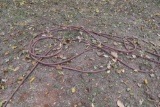 Garden hose