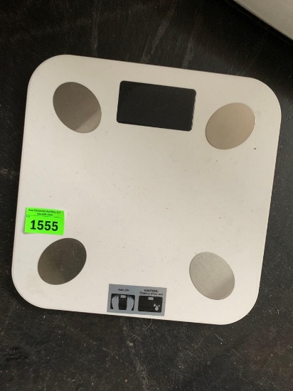 electronic scale