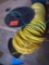 Green and Yellow wire