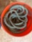 Rope in a bucket
