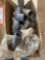 PVC Connectors