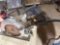 Circular saw