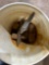 bucket of sledge hammer heads