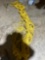 0.5inch x 200ft rope