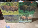 Buffalo painting 4ft x 3ft