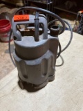 Sub pump