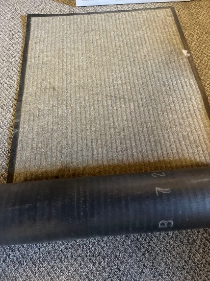 24in commercial rug