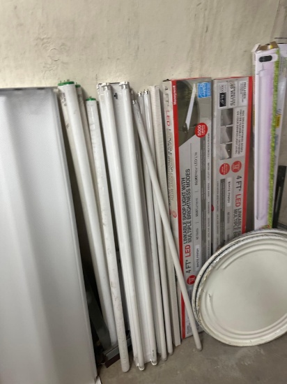 light bulbs