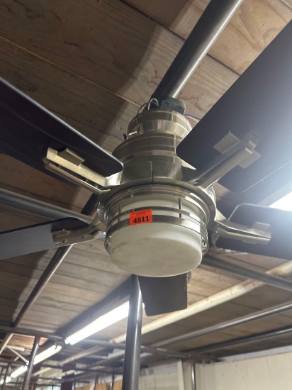 Ceiling fan
