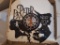 Peter Pan clock