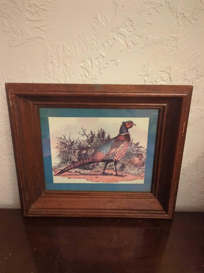 Framed Wall Decor Pheasant
