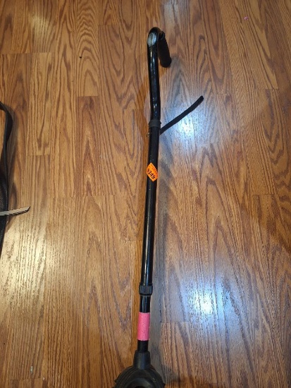 walking cane