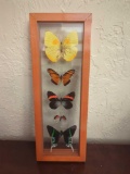 Butterfly Framed Wall Art