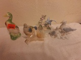 Ducks and birds