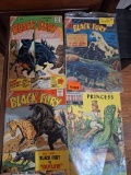 Black fury comic books
