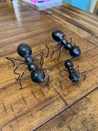 Ant family