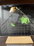 Wire framed wall shelf