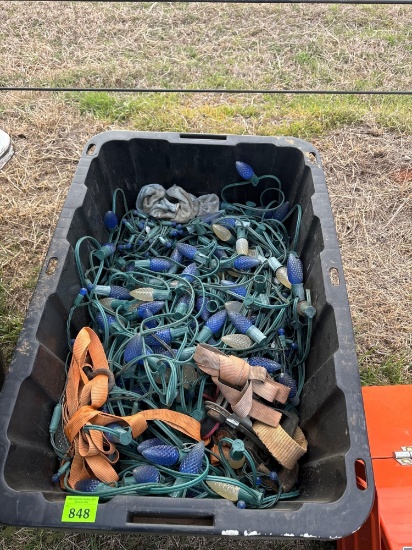 Tote of Christmas lights