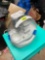 Walgreens humidifier