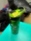 Drinking cup with lid