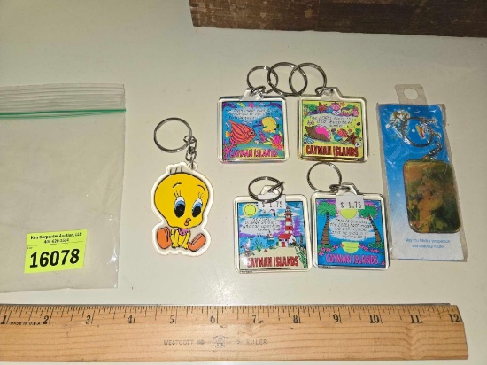 6 Assorted Keychains. Collectible. All one Money.