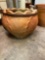 flower pot