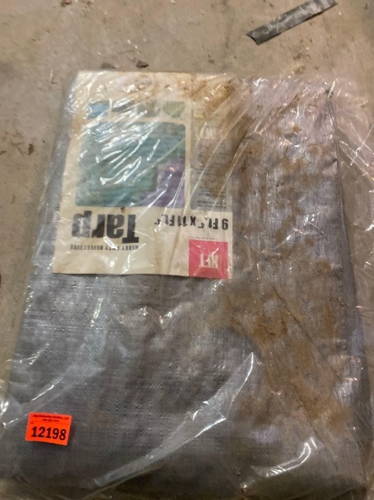 Tarp