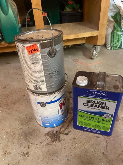 Brush cleaner and paint