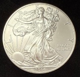 2014 American Silver Eagle - 1 oz .999