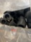 Geothermal fittings
