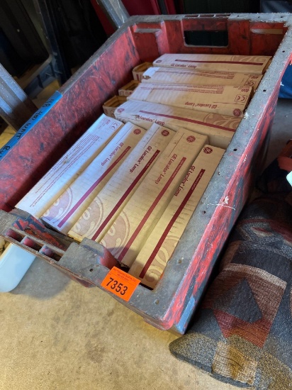 Box of lightbulbs