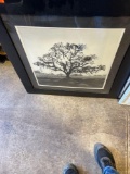 Framed picture Measurements in photo