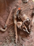 Hames harness bridle